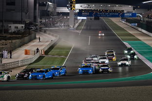 开云网页版登录入口-世界雪车锦标赛中国选手跻身前八，世界雪车锦标赛用车多少钱