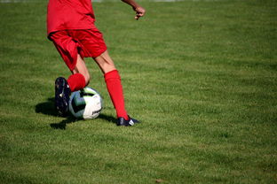 开云中国大陆-中国篮球职业联赛俱乐部青训体系建设，全国篮球俱乐部青年联赛