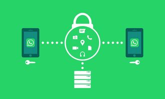 开云平台-体育新闻采编流程中的内容安全机制构建，体育新闻报道要求