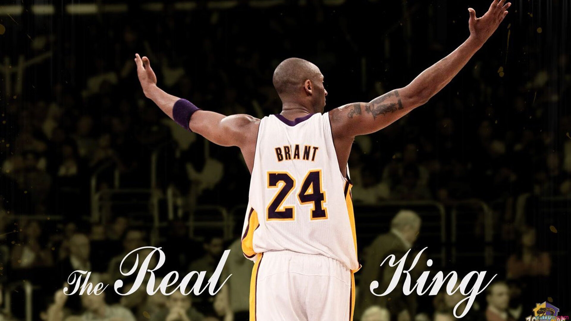 NBA史诗级绝杀,nba历史绝杀十佳球